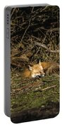 Peaceful Fox In Sunlit Meadow Portable Battery Charger