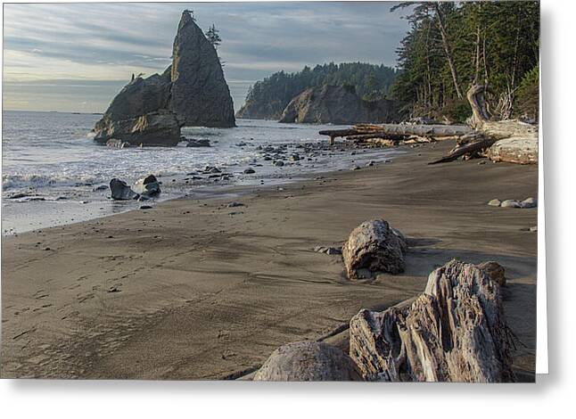 Rugged Coastal Landscape Greeting Card