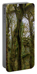 Moss-Covered Trees in a Dense Forest Portable Battery Charger
