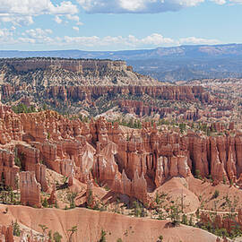 Majestic Hoodoos of Bryce Canyon by Brandon Wichmann