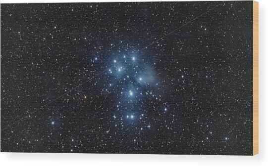 Pleiades Cluster In Cosmic Night Wood Print