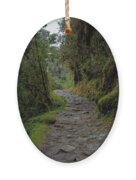 Moss-covered Path Through Lush Forest On The Inca Trail Ornament