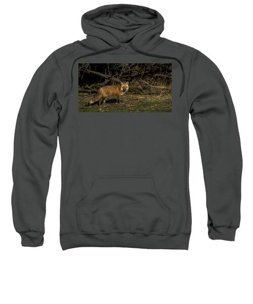 Fox In Sunlit Forest Clearing Sweatshirt