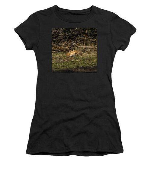 Peaceful Fox In Sunlit Meadow Women's T-Shirt