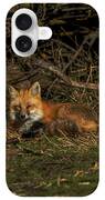 Fox Resting In Sunlit Clearing iPhone Case