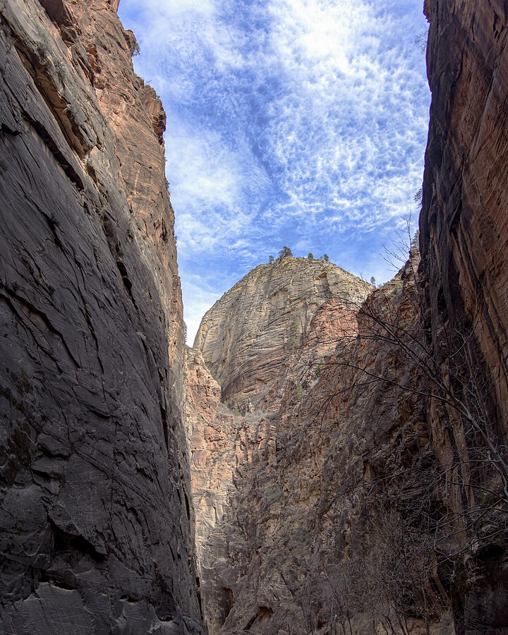 Towering Canyon Cliffs and Blue Sky Photograph by Brandon Wichmann