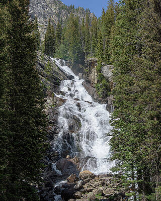 Waterfall Amidst Forest Landscape Wall Art