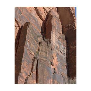 Towering Desert Sandstone Cliffs in Zion National Park by Brandon Wichmann Towering Desert Sandstone Cliffs in Zion National Park by Brandon Wichmann