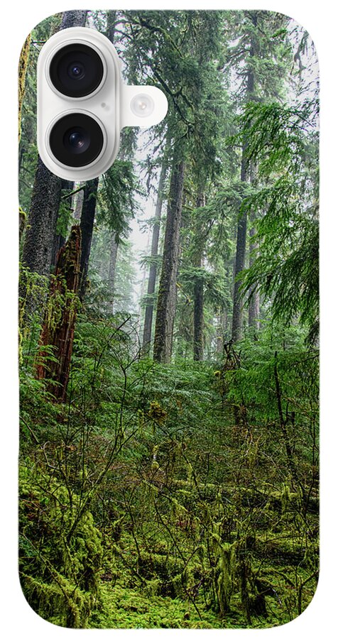 Misty Forest Silhouettes In Olympic National Park iPhone Case