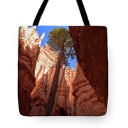 Tree Reaches Skyward In Bryce Canyon National Park Tote Bag