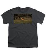 Fox Resting In Sunlit Clearing Youth T-Shirt