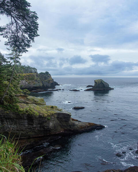 Rugged Coastal Landscape with Cliffs Poster