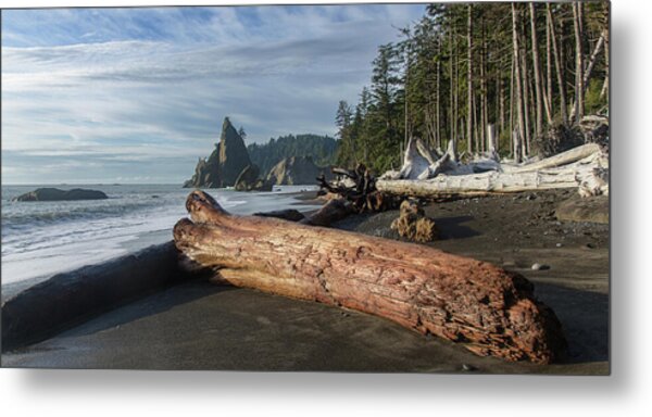 Driftwood on a Pebbled Beach Metal Print