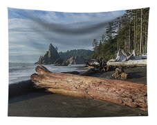 Driftwood on a Pebbled Beach Tapestry