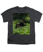 Moose Resting In Sunlit Meadow In Grand Teton National Park Youth T-Shirt