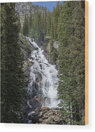Shop for Serene Wood Prints