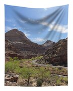 Winding Road Through Desert Canyon Tapestry