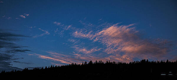 Twilight Over Forested Horizon Poster