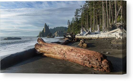 Driftwood on a Pebbled Beach Canvas Art Print by Brandon Wichmann