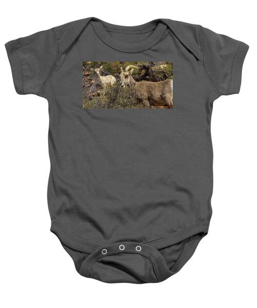 Mountain Goats in Natural Habitat Baby One-Piece