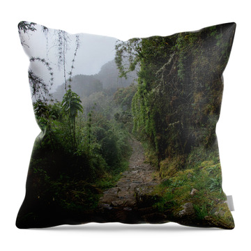 Misty Forest Pathway On The Inca Trail Throw Pillow