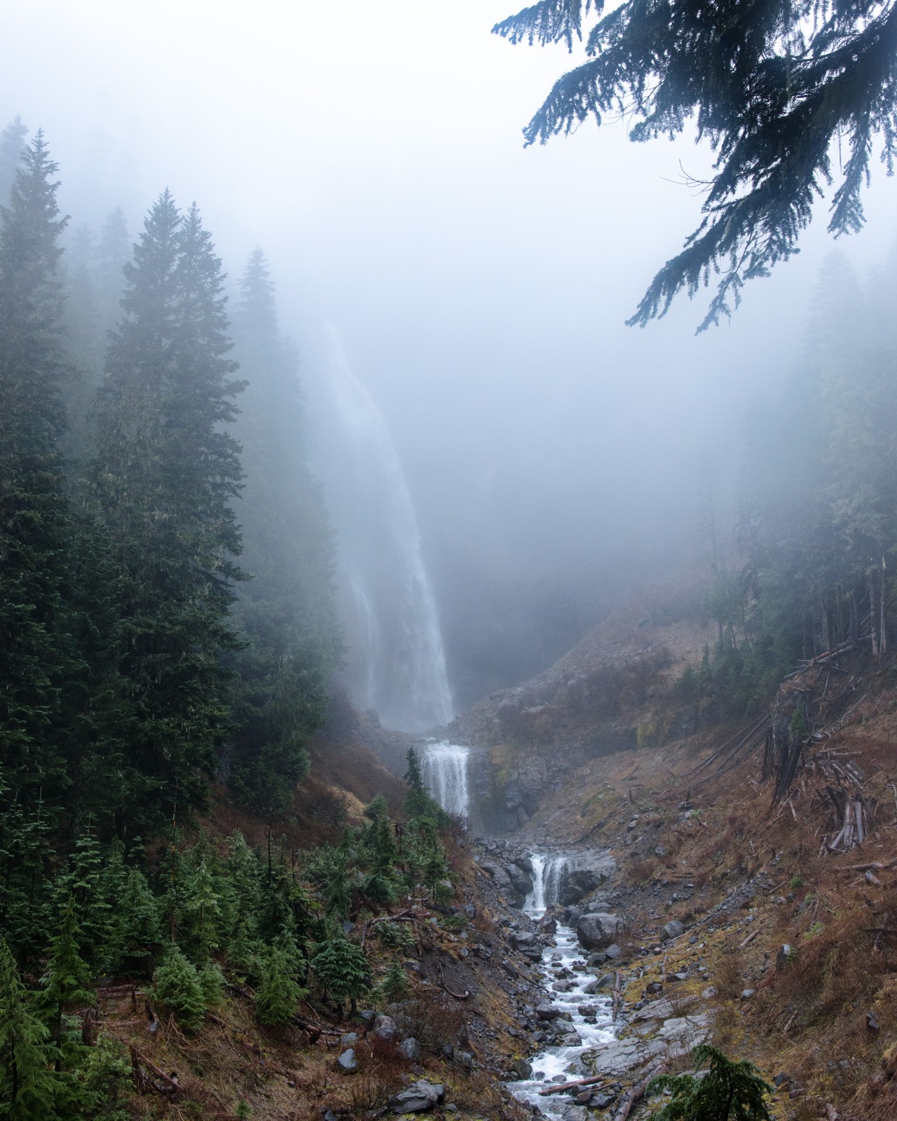 Mount Rainier: the mountain in the mist