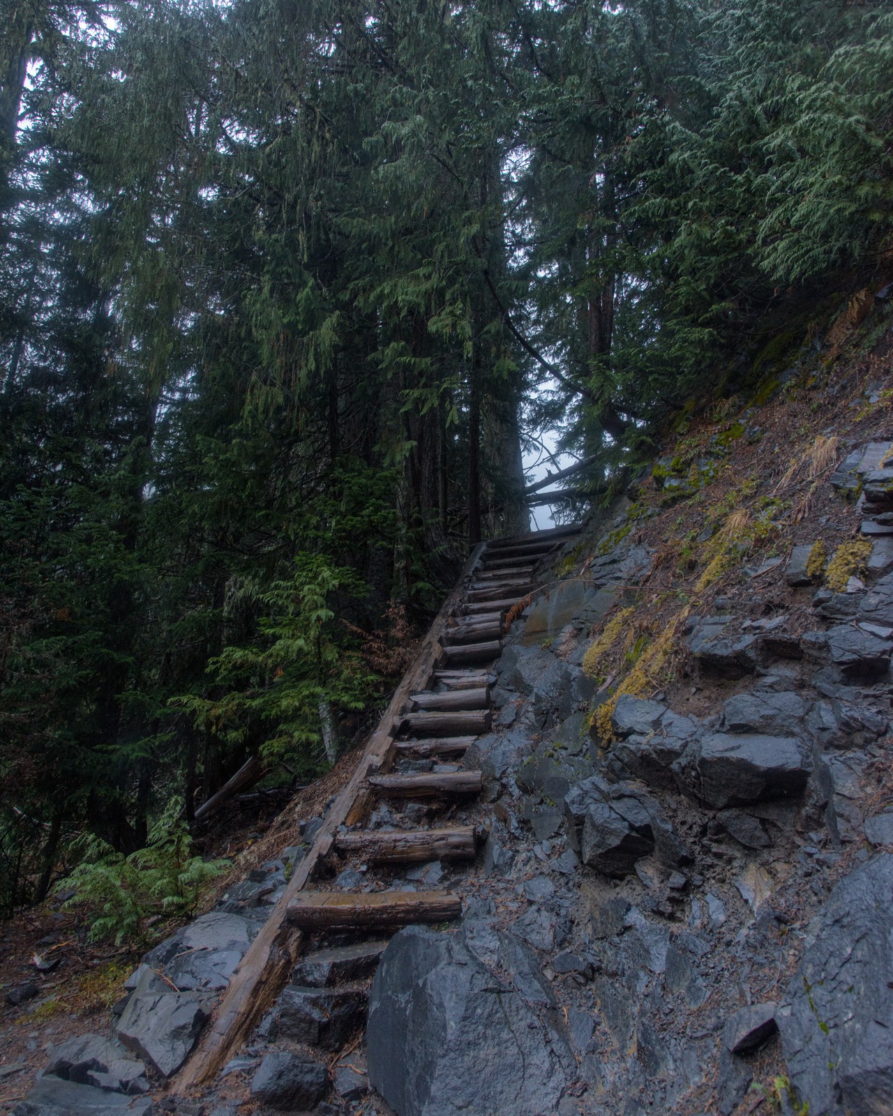 5. Use paths without making every image a path picture