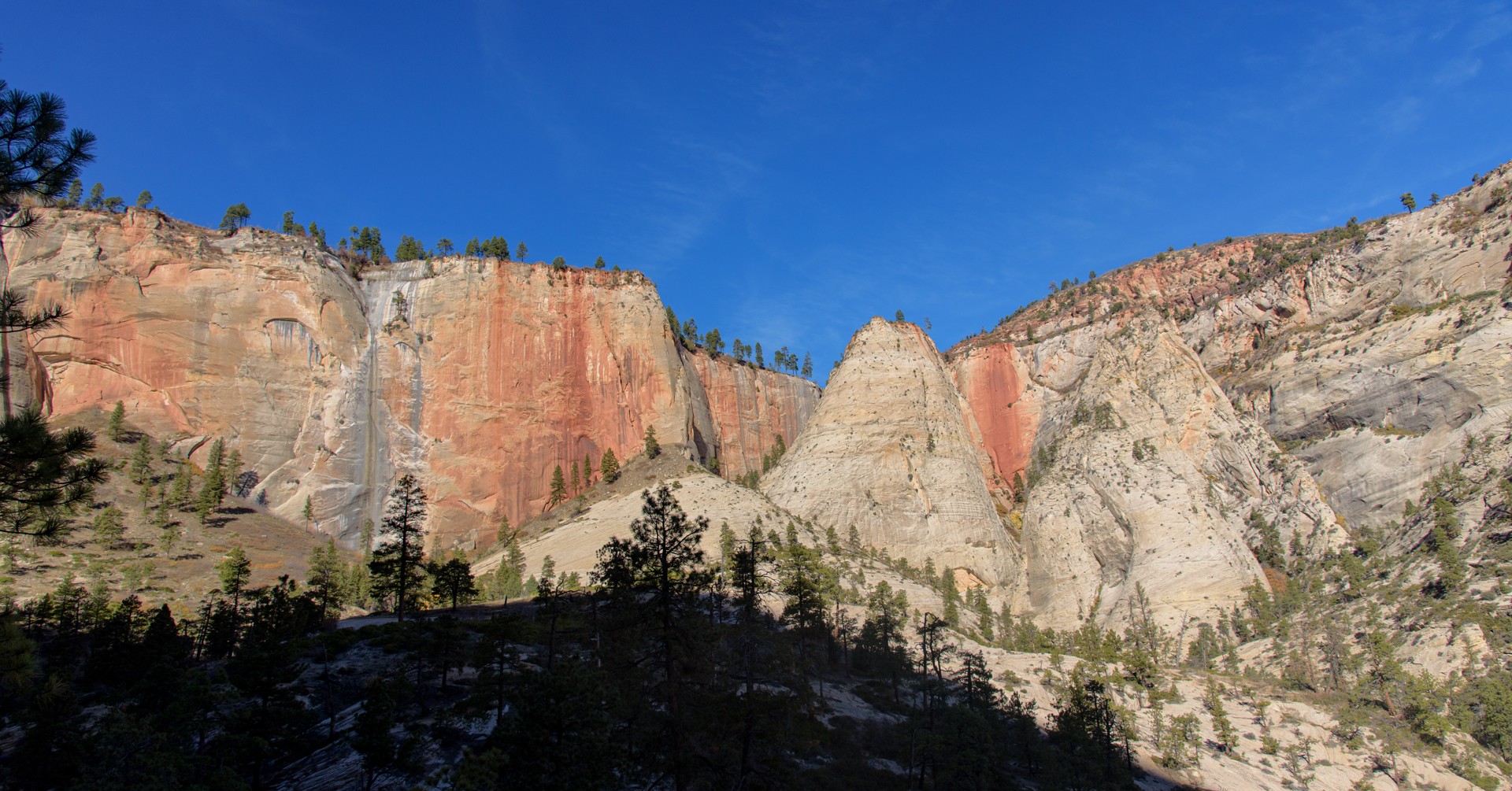 Zion: a place I return to, one trail at a time