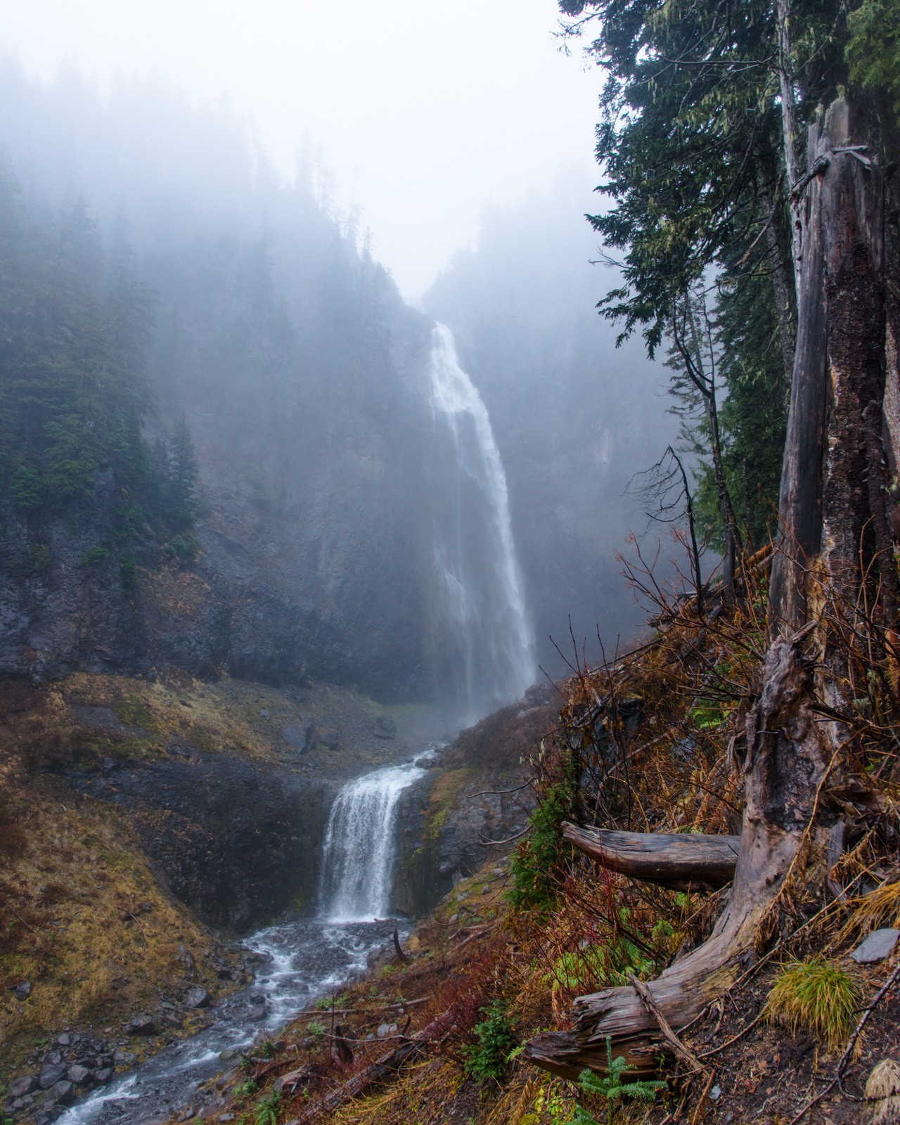 3. Let mist simplify the background
