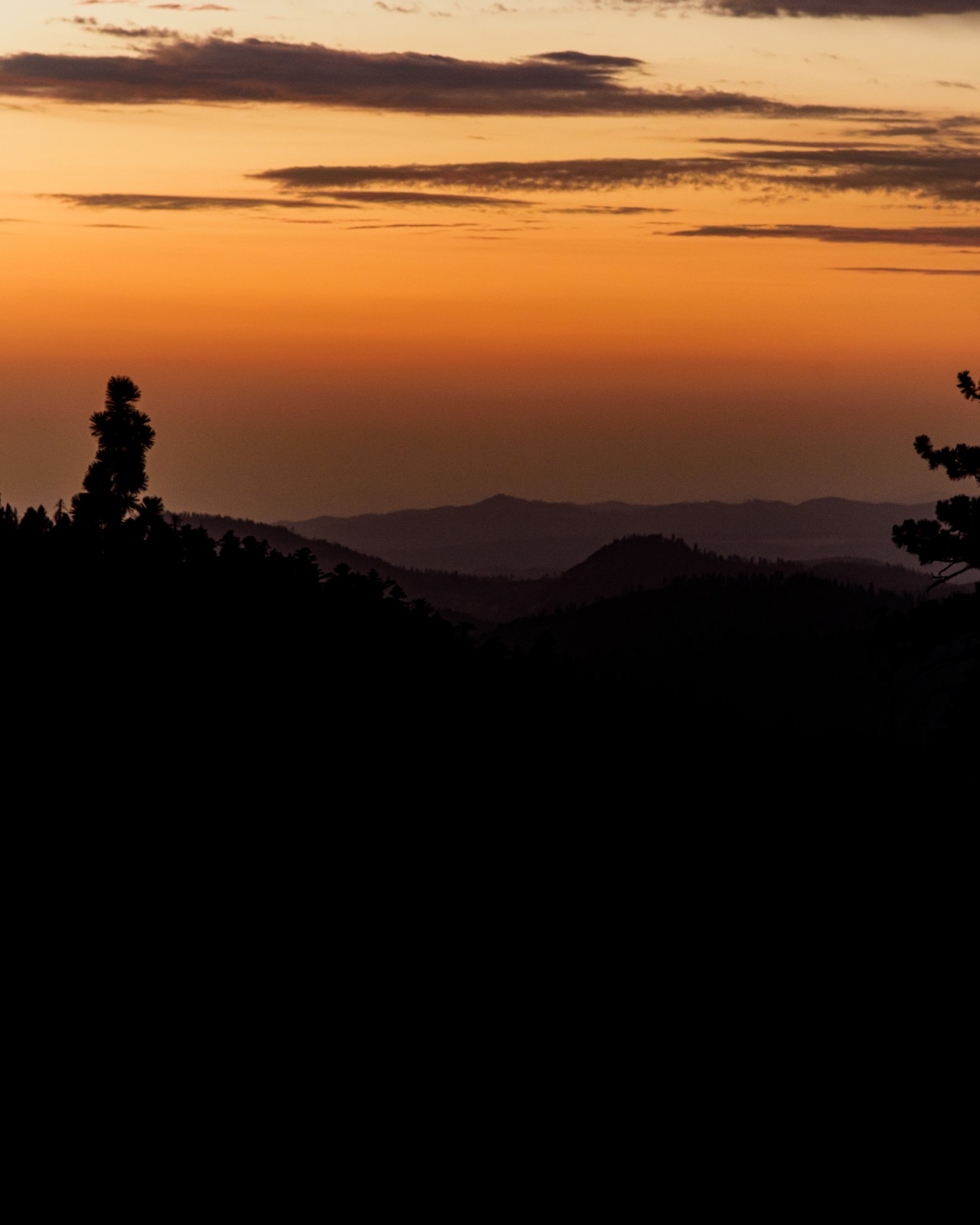 4. Let a silhouette be a silhouette