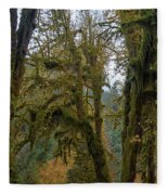 Moss-Covered Forest Trees Fleece Blanket
