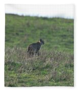 Bobcat in Grassy Field Fleece Blanket