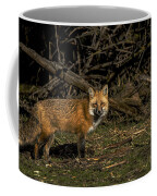 Fox In Sunlit Forest Clearing Coffee Mug