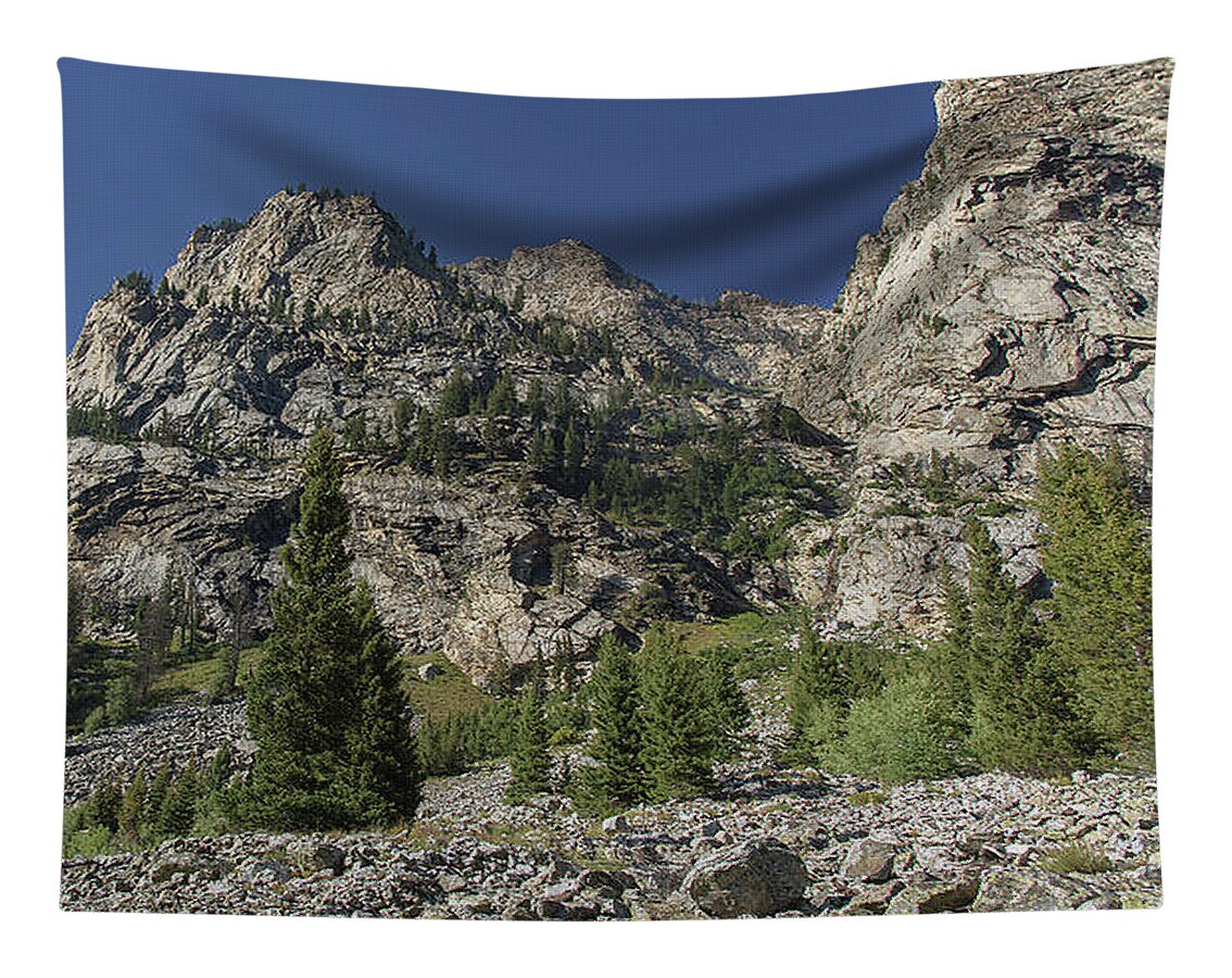 Majestic Mountain Peaks Under Blue Sky In Cascade Canyon Tapestry