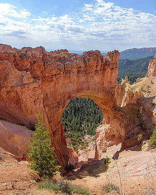 Wall Art featuring the photograph Majestic Natural Rock Arch In Bryce Canyon National Park by Brandon Wichmann