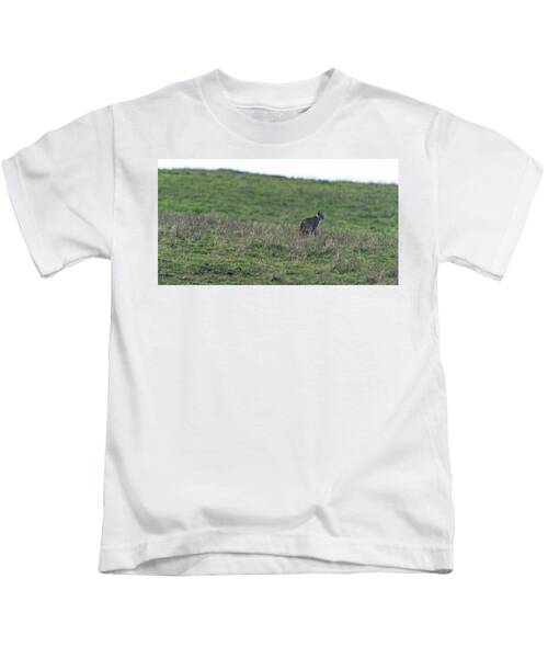 Bobcat in Grassy Field Kids T-Shirt