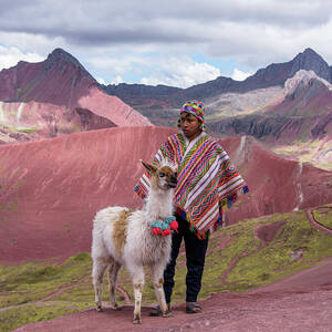 Peruvian Scene with Red Valley and Llama by Brandon Wichmann