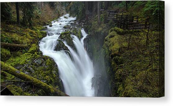 Serene Flow Through Mossy Forest Canvas Art Print by Brandon Wichmann