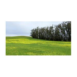 Rolling Hills with Blooming Wildflowers by Brandon Wichmann
