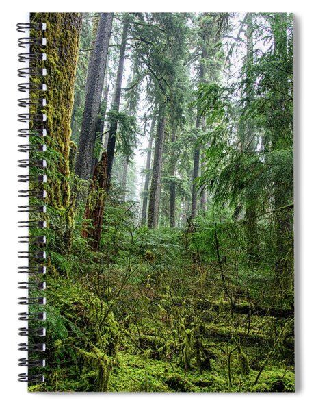 Misty Forest Silhouettes In Olympic National Park Spiral Notebook
