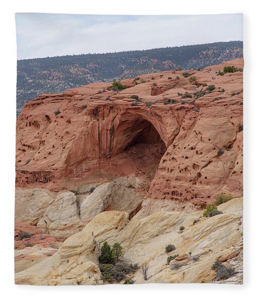 Natural Arch In Desert Landscape Fleece Blanket