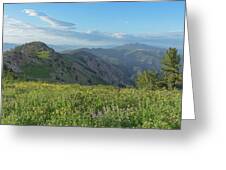 Mountain View with Wildflowers Greeting Card