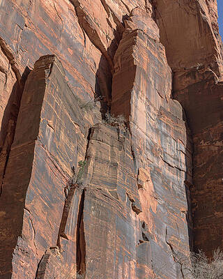 Wall Art featuring the photograph Towering Desert Sandstone Cliffs In Zion National Park by Brandon Wichmann