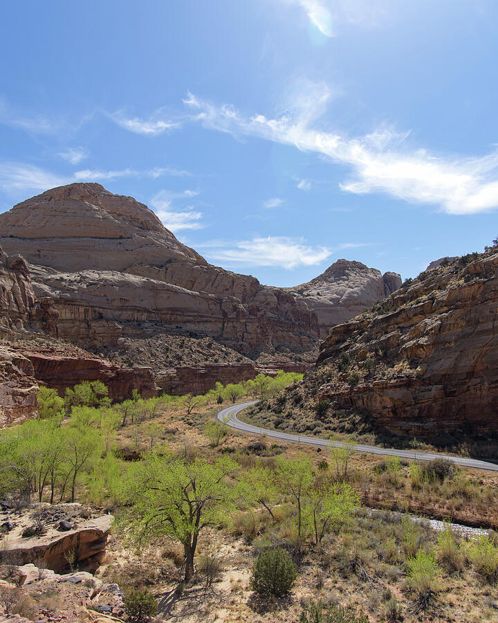 Winding Road Through Desert Canyon Photograph - Winding Road Through Desert Canyon by Brandon Wichmann