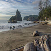 Rugged Coastal Landscape Poster