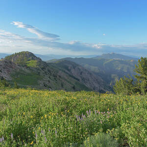 Mountain View with Wildflowers by Brandon Wichmann Mountain View with Wildflowers by Brandon Wichmann