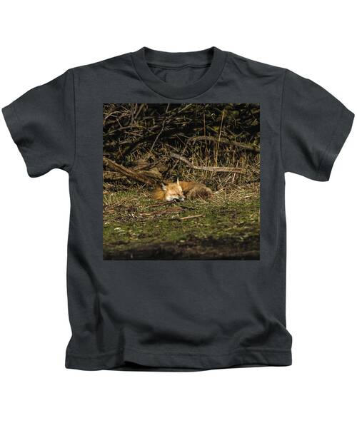 Peaceful Fox In Sunlit Meadow Kids T-Shirt