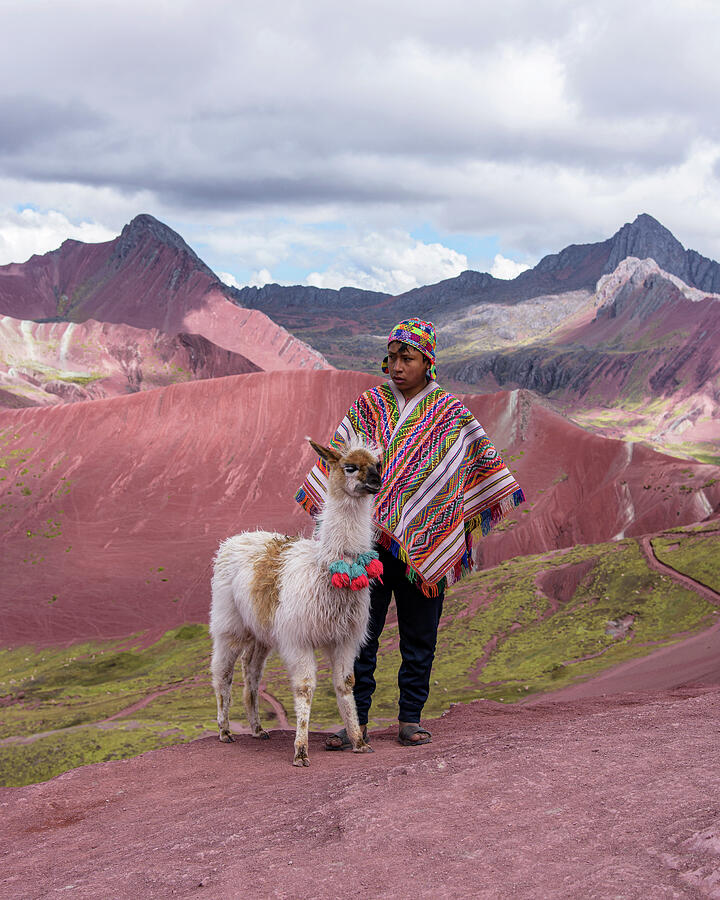 Peruvian Scene with Red Valley and Llama