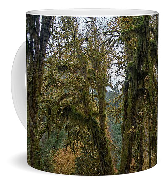 Moss-Covered Forest Trees Coffee Mug