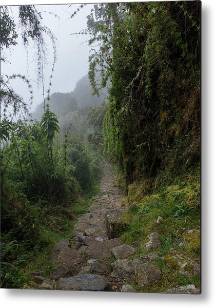 Misty Forest Pathway On The Inca Trail Metal Print